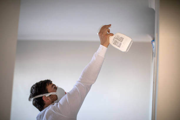 Best Mold Remediation for Specific Building Types in University Center, VA