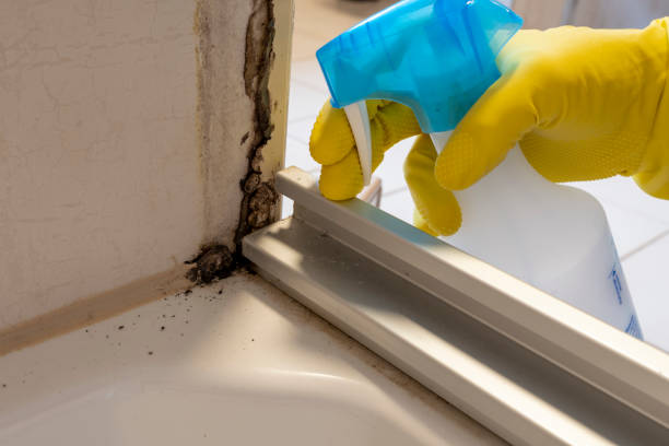 Best Bathroom Mold Remediation in University Center, VA