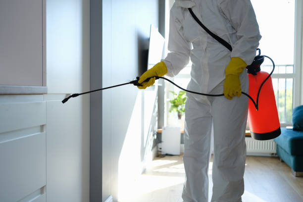 Best Preventive Mold Services in University Center, VA