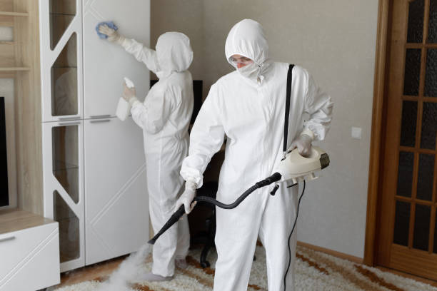 Best Post-Remediation Services in University Center, VA