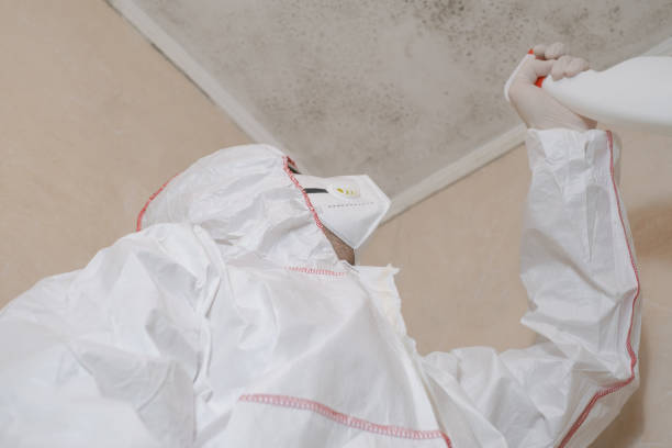 Best Residential Mold Remediation in University Center, VA